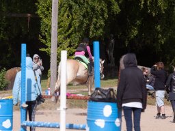 IMG_5571_web
